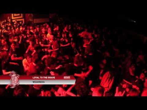 Loyal To The Grave - "Weakness" Official Liveclip