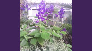 When Children Whisper