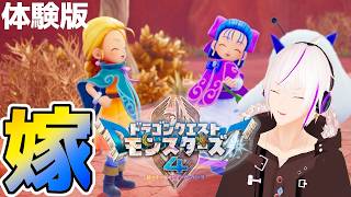 【DQM4/体験版】『嫁はどちらですか？私は〇〇〇〇です』【ドラゴンクエストモンスターズ4 枯れ木の国のビアンカ・フローラ】Vtuber