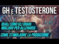 GH e TESTOSTERONE ▪ Gli ORARI giusti per allenarsi e COME stimolare la produzione