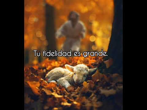 Tú fidelidad - Dios ha sido bueno (voz/letra)