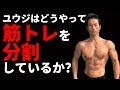 ユウジの筋トレ分割法 パーソナルトレーナーはどうトレーニングを分割してるのか?