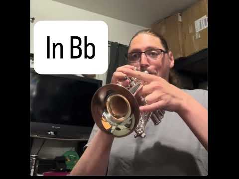 Bach A/Bb/G Piccolo trumpet VBS196 image 17
