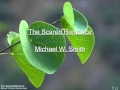 The Sacred Romance Instrumental Video