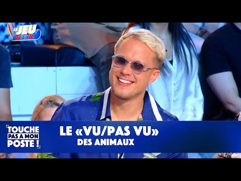 Les animaux font des trucs de dingue !