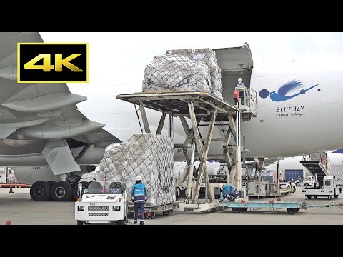 [4K] Narita Airport Cargo Area - Loading cargo on Boeing 777 freighter / 成田空港 ANAカーゴ