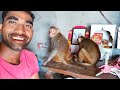 चिकने के साथ सूखेलाल भूखेलाल की पार्ट�