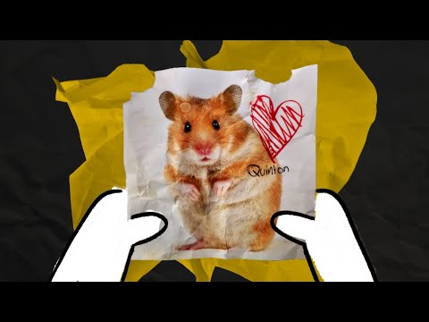 A hamster named Quinton - Animated short