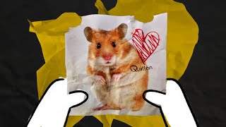 A hamster named Quinton - Animated short