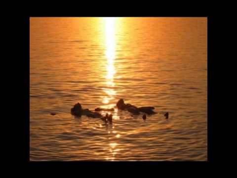 Freemasons feat. Wynter - Believer (Summer of Pride Radio Edit)