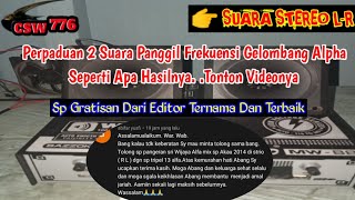 Download lagu SP TRIPLE13 ALPHA STEREO SP PANGERAN SRIWIJAYA ALPHA - SUARA PANGGIL WALET TOP RESPON mp3