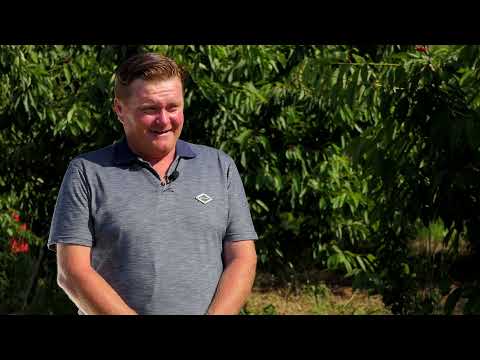 Biram selo ep. 92 23.06.2021. Nenad Jovanović, Seona, voćarstvo, trešnje, kajsije, breskve