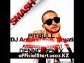 Pitbull feat Timati Dj Antoine - Amanama NEW 2012 ...