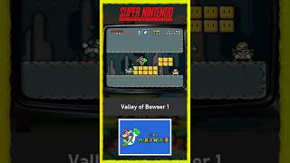 Capa de Valley of Bowser 1