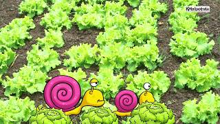 Proiektuaren bukaera, denok dantzatzera!