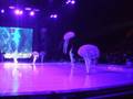 Nemo On Ice 2008 Nia