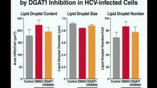 2011 Bay Area Symposium on Viruses: Melanie Ott