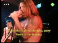Red Hot Chili Peppers - No chump love sucker ...