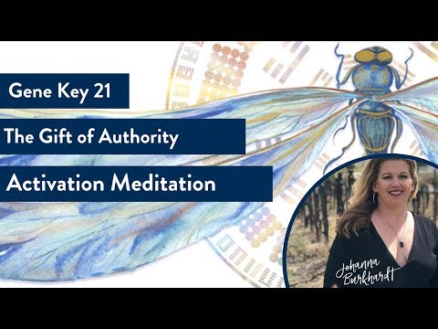 Gene Key 21 | The Gift of Authority | Activation Mediation