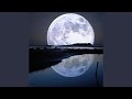 Moonlight