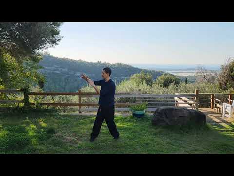 Photo of Avi Nanous Tai Chi And Qigong Instructor
