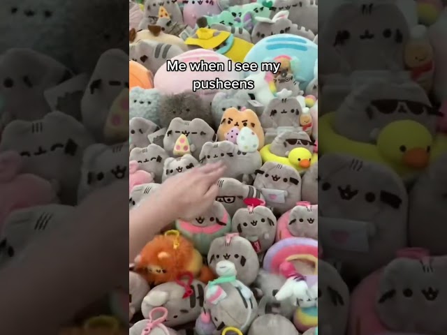 Vídeo relacionado con HENGBIRD Pudín Cojín, Gato Pudín Gatos Cojín Lindo Kawaii Plushie Lindo Plushie Lindo Plushies Squishmallo Cute Cosas Cute Cosas Squishy Mellow Kawaii Peluche Felpa Kawaii Almohada (Gato)