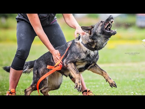 Greta von Pike's Spirit - 7/2022