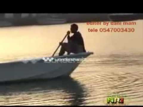 eritrean music suzinino  2013