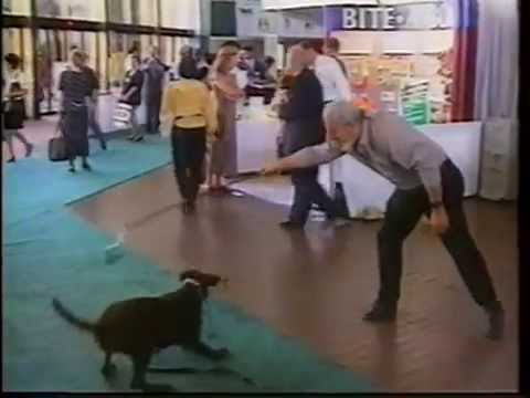 Demo