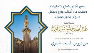 وفي الأرض قطع متجاورات وجنات من أعناب وزرع ونخيل صنوان وغير صنوان | الشيخ عبد القادر شيبة الحمد image