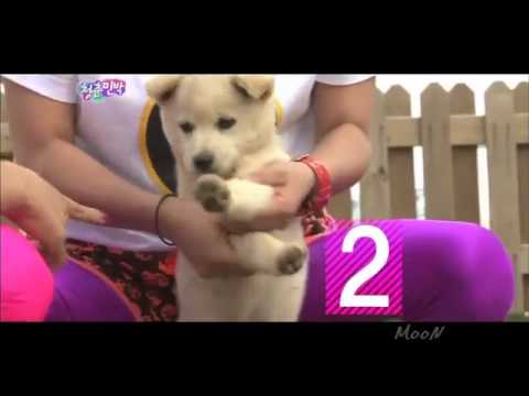 Look at me by Suzy Bora Yewon Shinyoung