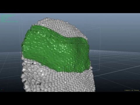 Coating simulation test