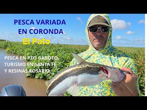 PESCAMOS EN CORONDA Y EN PUERTO GABOTO, TURISMO EN SANTA FE Y RESINAS ROSARIO - EL PATO TV 1139