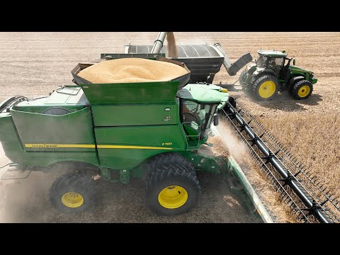 Disappointing Yields On Our Family Farm