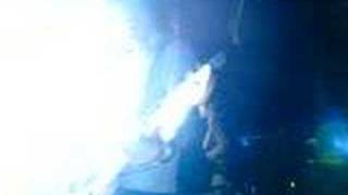 The Stills - Still In Love Song