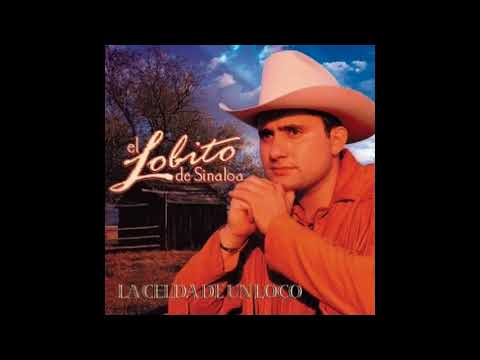 La Celda De Un Loco - El Lobito De Sinaloa