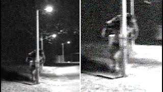 The Mysterious Ancient Legend Of The Dogman Monster Of Michigan