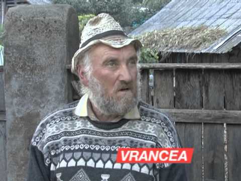 Pruncucidere Ruginesti Vrancea 24