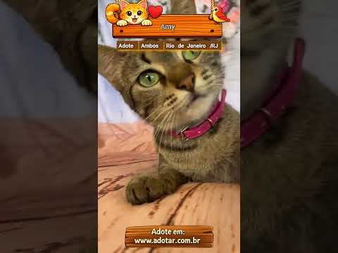 Vídeo de Amy