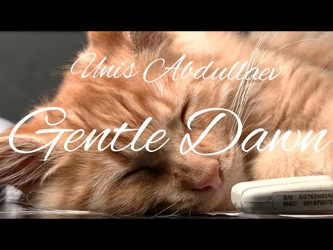 Нежная музыка для сна Unis Abdullaev  - Gentle Dawn