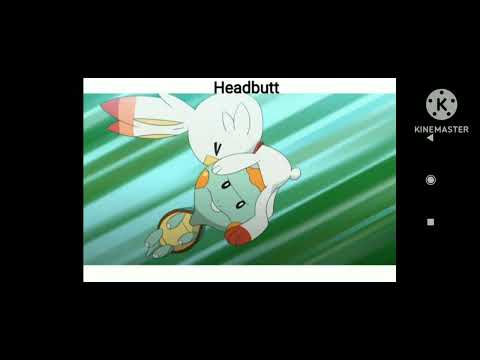 #chewtle#drednaw all moves