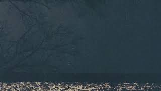 Fog Lake - lost love letters [No Copyright + Royalty Free Music]