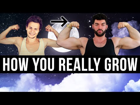 This is Why Your Gains Are SO SLOW! (Full Recovery Guide)