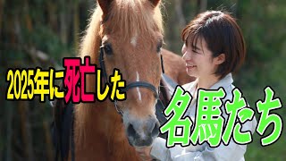 世界の競馬ファンが泣いた。2025年に死亡した世界的名馬たちまとめ