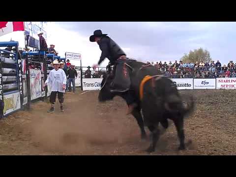 Zane Lambert goes to 7.8 sec on WV 407 Big Valley Black Asquith, SK PBR Canada '12 LG