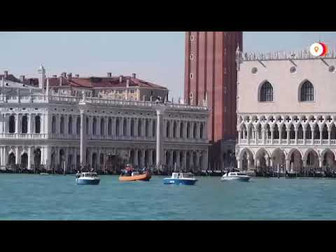 Wow! Nature Nature Is So Purified That Dolphins Return To Venice.