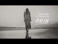 DJ Pantelis & Christina Luna - PRIN