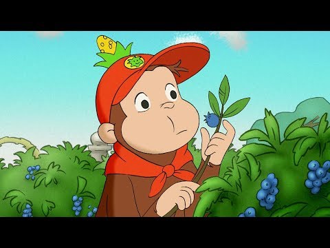 Nicke Nyfiken 🐵 Nickes Första Scoututflykt 🐵 Tecknad Film för Barn 🐵 Helt Avsnitt