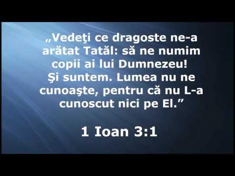 Nicu Cozma - Era o zi de dalbă primăvară