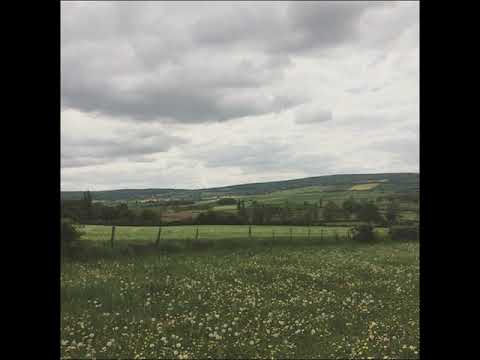 (guitar) brakence + midwest emo + hyperpop type beat (prod. xmichaelwarren)